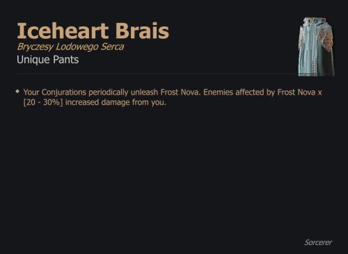 Iceheart Brais / Bryczesy Lodowego Serca UNIKAT Diablo IV SEZON