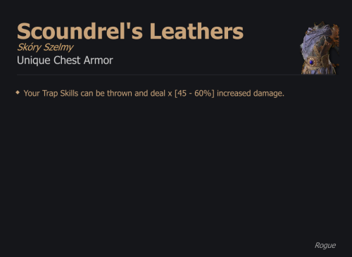 Scoundrel's Leathers / Skóry Szelmy UNIKAT Diablo IV SEZON
